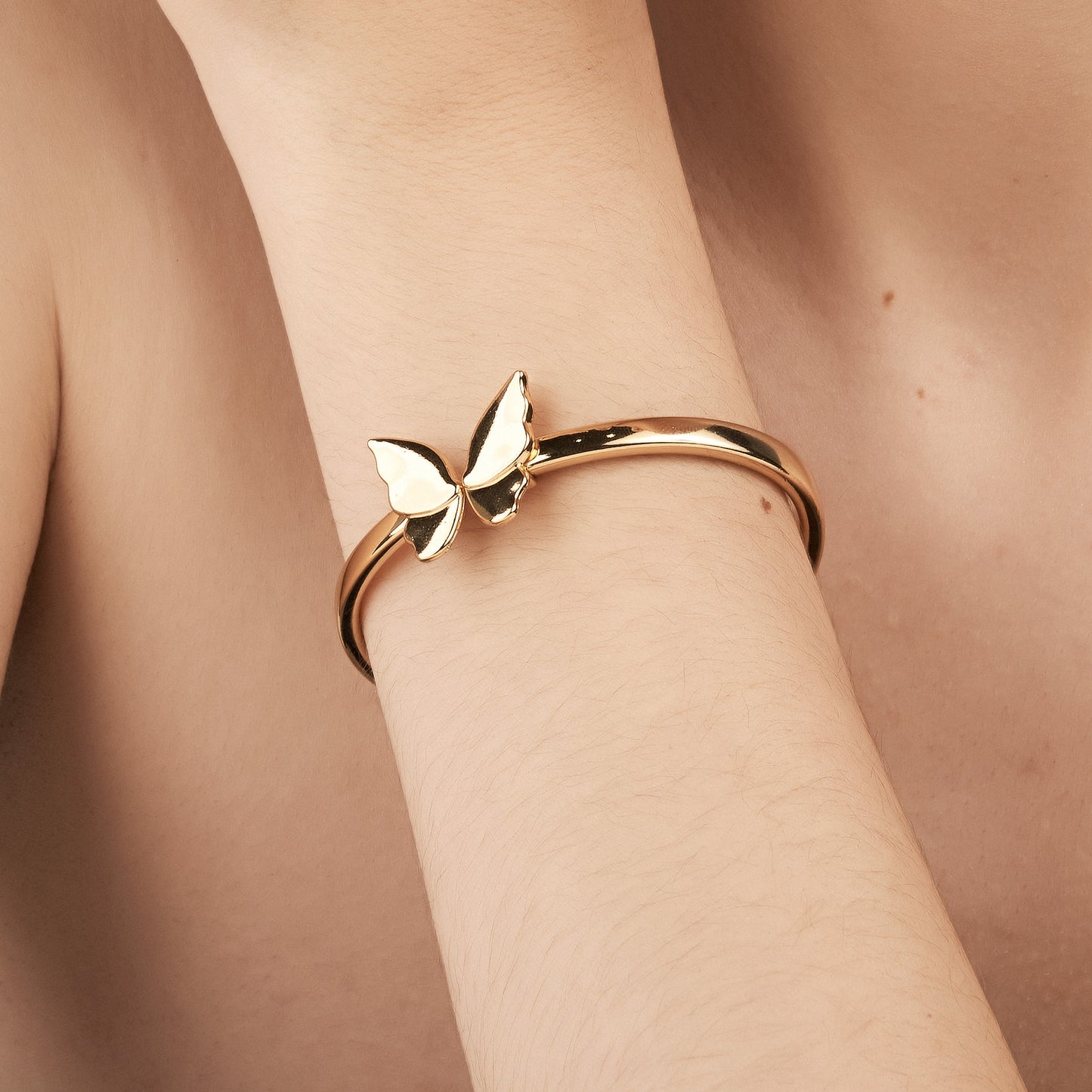 Bracelete Metamorfose